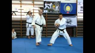 Junro Yondan Kata bunkai Masao KAGAWA Sensei [upl. by Afrika70]