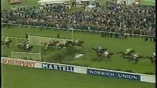 Abandoned Grand National 1993 BBC Highlights Horse Racing [upl. by Marchal]