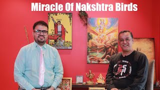 The Miracle Of Nakshatra Birds [upl. by Aoh]