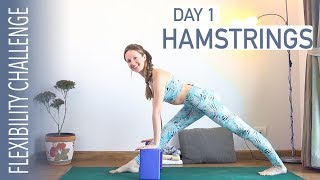 Day 1  14 Day Yoga Flexibility Challenge  Hamstring Stretches  YogaCandi [upl. by Delorenzo]