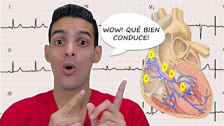 ¡El SISTEMA de CONDUCCIÓN ELÉCTRICA del CORAZÓN ANATOMÍA y FISIOLOGÍA [upl. by Anyel107]