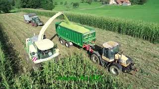 Maishäckseln 2024 Teil 1 LU Biggel mit Krone Big X700 JCB Fendt Deutz 4K [upl. by Anuhsal]