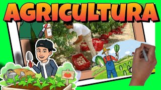 👨‍🌾 ¿QUÉ es la AGRICULTURA  Vídeo educativo para NIÑOS [upl. by Persas]