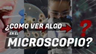 👩‍🔬🔬 COMO VER ALGO EN EL MICROSCOPIO 🦠🧬 Toma de muestra Preparados Tinción Fijación Microscopia [upl. by Otsedom]