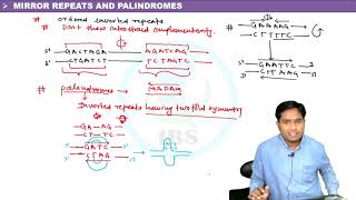 LECTURE NON CANONICAL FORMS OF DNA [upl. by Eachelle]