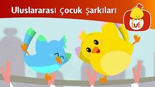 Uluslararası çocuk şarkıları  İTALYA SEVİMLİ ÇAMAŞIRCI KADIN Luli TV [upl. by Kosiur]