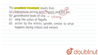 The amoeboid movement results from [upl. by Kadner350]