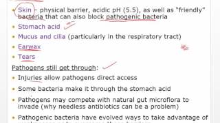 Chapter 15 Video Innate and Adaptive Immunity [upl. by Ynoep442]