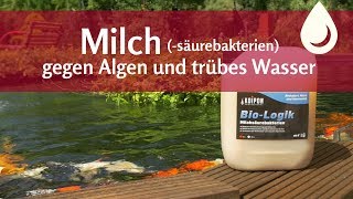 Milch gegen Algen und trübes Wasser im Teich KOIPON® BioLogik [upl. by Nasar532]