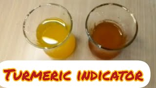 Turmeric Indicator Use turmeric to test for bases in your home [upl. by Altman]