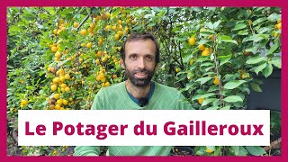 Un jardinforêt cultivé sur 1000 m² avec plus de 500 espèces végétales  Le Potager du Gailleroux [upl. by Neelia]