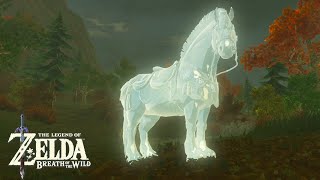 7secretly 11 INCREDIBLE Horse Glitches Zelda Breath of the Wild [upl. by Aindrea659]