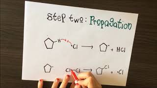 Free radical substitution Cyclopentane [upl. by Michaella]