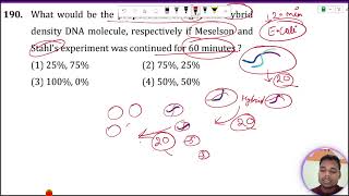 What would be the proportions of light and hybrid density DNA molecule respectively if Meselson and [upl. by Yror102]