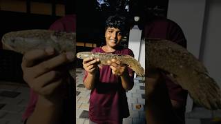 Fishing At Kattoor Paadam shortfeed shorts [upl. by Roz]