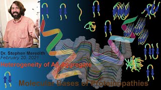 Dr Stephen Meredith February 20 2021  ZOOMinar on quotProteinopathyquot [upl. by Ifok583]