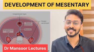 Development of Mesentery  Anatomy Dr Mansoor Malayalam Lecture [upl. by Aletsirc]