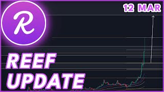 EMERGENCY UPDATE🚨  REEF PRICE PREDICTION amp NEWS 2024 [upl. by Anyahc]