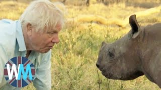 Top 10 David Attenborough Moments [upl. by Airan533]