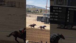 Horse Racing Ms Green over Second Nature shorts Horses Race [upl. by Akemahc729]