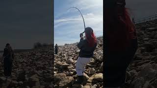 Mrs Bratton making it look too easy fishing viral fish nature arkansas [upl. by Leong]