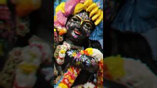 Radhe Radhe🙏radhekrishnavrndavanyoutubeshortsytshortvideoviralshortviraltagviraltrending👣🦚🌺 [upl. by Oigimer]