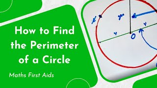 How to Find the Perimeter of a Circle [upl. by Fish630]