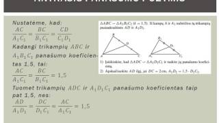 Panašiųjų trikampių požymiai 6 pamoka 9 klasei [upl. by Im958]