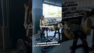 25 Hammer Strength Plate Loaded Leg Extension [upl. by Yelich]