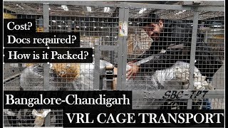 Bike Transport  BangaloreChandigarh via VRL CAGE TRANSPORT  Ladakh amp K2K [upl. by Aelegna]