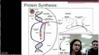 Protein Synthesis Notes Part 1 [upl. by Airotel]