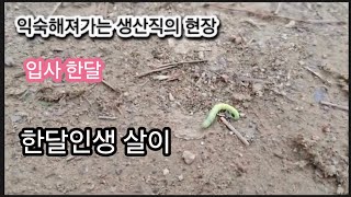 《3》40대 Vlog 브이로그 생산직 1개월 적응중 직장3개월 계약 [upl. by Naaman573]