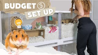 How to Set up a Hamster Cage on a BUDGET 💸 [upl. by Ednalrym]