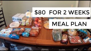 80 Two Week Meal Plan amp Grocery Haul [upl. by Mezoff]