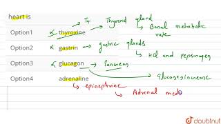 Hormone having stimulatory effect on heart is [upl. by Henke873]