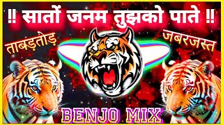 Sato Janam Tujhko Paate X Tiger Dance Banjo Pad Mix Original Tiger Dhun [upl. by Shanks76]