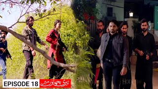 Teri Chhaon Mein Episode 18 Review  Wadeema Mujhe Chor Do  Danish Taimoor  Laiba [upl. by Neddy]