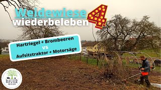 Weidefläche neu gestalten  Teil 4 Hartriegel und Brombeeren entfernen [upl. by Anniroc]