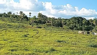 Sítio de 16 alqueires em Divinópolis Goiás escuta proposta e aceita permuta [upl. by Ziegler923]