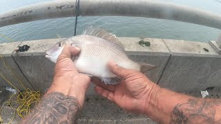 Porgy Time on the Crossbay Bridge NYC [upl. by Gentille]