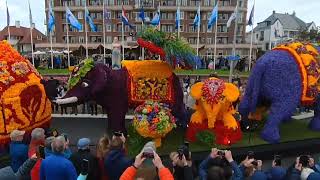 Bloemencorso bollenstreek 2024  Flower Parade opening [upl. by Holms]