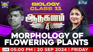 GIB 🔥ஆடுகளம் 40🔥 Morphology of Flowering Plants BOTANY  Ashima maam  Xylem NEET Tamil [upl. by Semela]