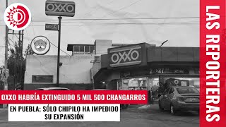 Oxxo habría extinguido 5 mil 500 changarros en Puebla sólo Chipilo ha impedido su expansión [upl. by Koffler361]