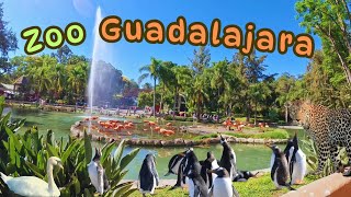 Recorriendo el Zoológico de Guadalajara [upl. by Adnilam556]