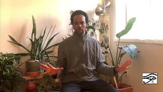 Gendai Reiki Ho Explained  by Ivor Edmonds [upl. by Yeltnarb]