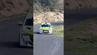 Peugeot 208 GT Line crazy automobile crazyfast crazyracing wow rally racing fastracing [upl. by Frasier]