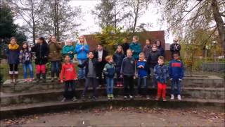 Zing mee met groep 5 de storm rap [upl. by Darya71]