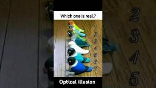 Which one is real Optical illusion viralvideo tamil shortsindia illusion opticalillusionism [upl. by Natalee]