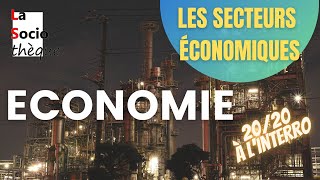 Les secteurs dactivité économiques  primaire secondaire et tertiaire [upl. by Amitie]