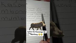 Kasongo Mr warthog warthog kasongo wildlife animals viralvideo viralshort [upl. by Sivaj]